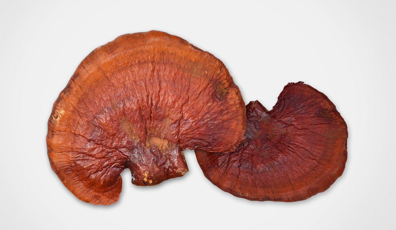 Betaglucaan - Ganoderma lucidum - ingrediënt