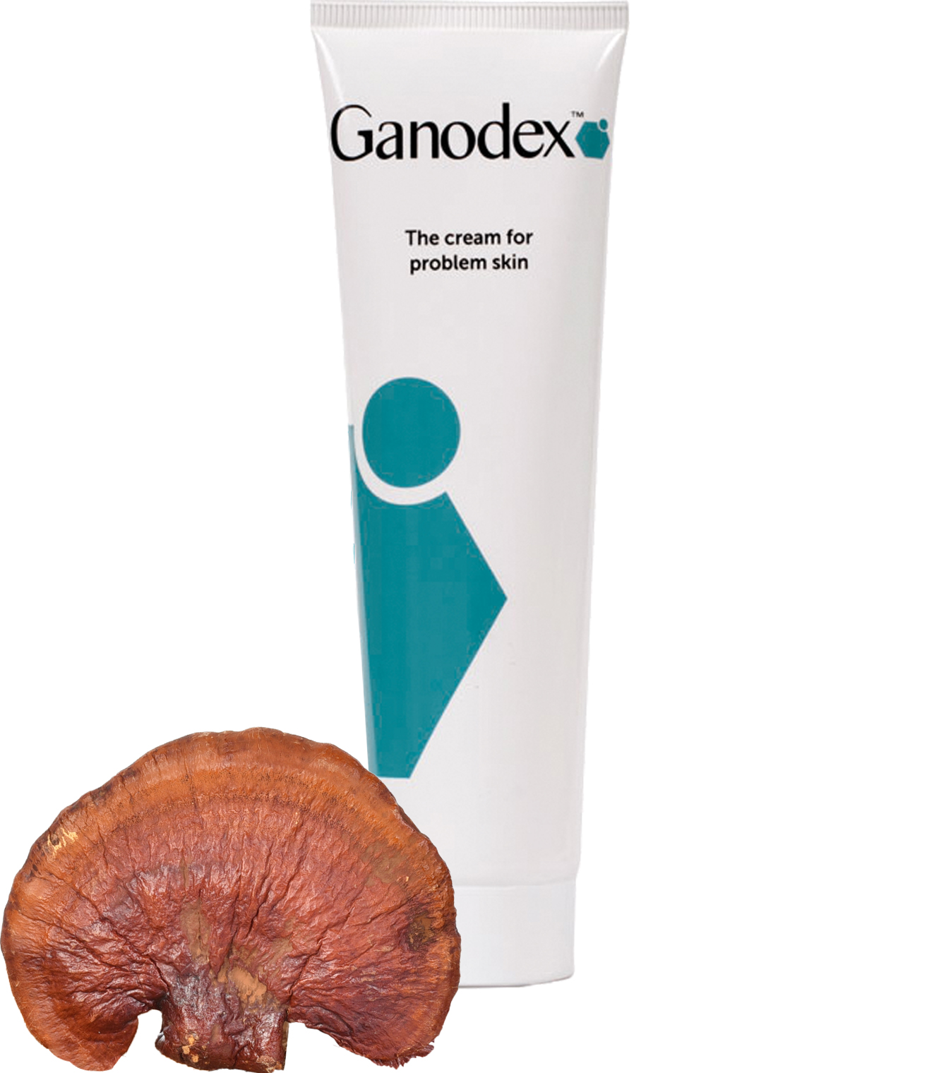 Ganodex